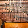 Integrazioni in araldite su legno